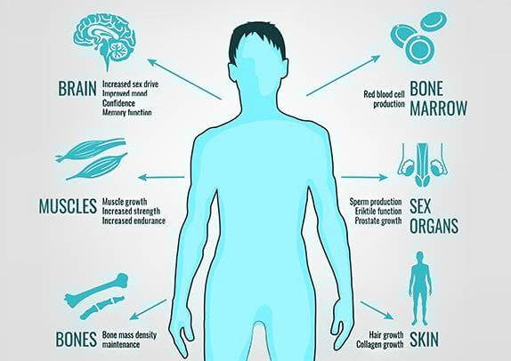 Low Testosterone (Hypogonadism)
